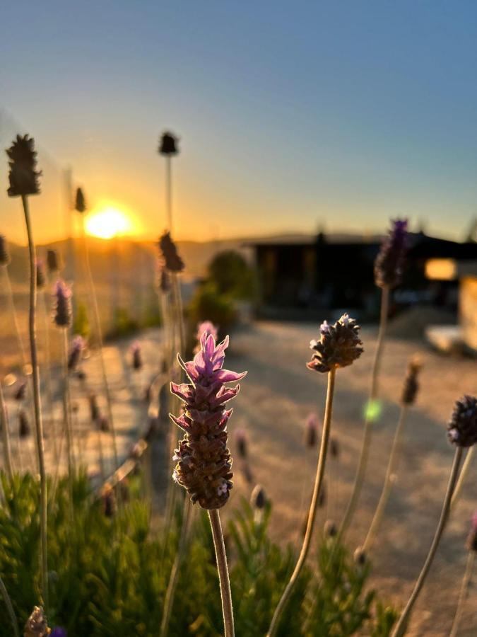 Finca Cazosa Вале де Гуадалупе Екстериор снимка